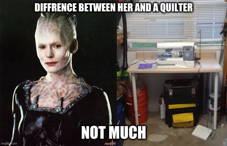 Assimilation | DIFFRENCE BETWEEN HER AND A QUILTER; NOT MUCH | image tagged in quilter,borg,garage | made w/ Imgflip meme maker