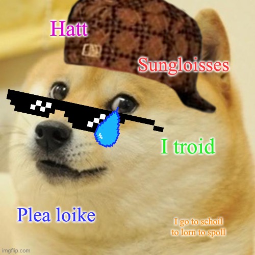 Doge | Hatt; Sungloisses; I troid; Plea loike; I go to schoil to lorn to spoll | image tagged in memes,doge | made w/ Imgflip meme maker