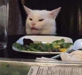 High Quality dinner cat Blank Meme Template