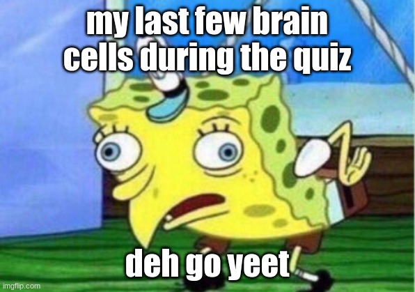 Mocking Spongebob Meme | my last few brain cells during the quiz; deh go yeet | image tagged in memes,mocking spongebob | made w/ Imgflip meme maker