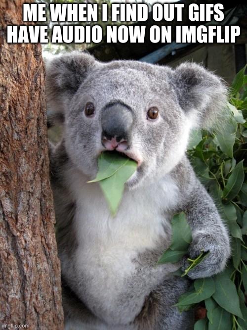 Surprised Koala | ME WHEN I FIND OUT GIFS HAVE AUDIO NOW ON IMGFLIP | image tagged in memes,surprised koala | made w/ Imgflip meme maker