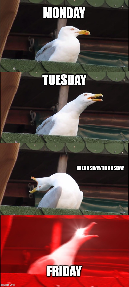 Inhaling Seagull | MONDAY; TUESDAY; WENDSDAY/THURSDAY; FRIDAY | image tagged in memes,inhaling seagull | made w/ Imgflip meme maker