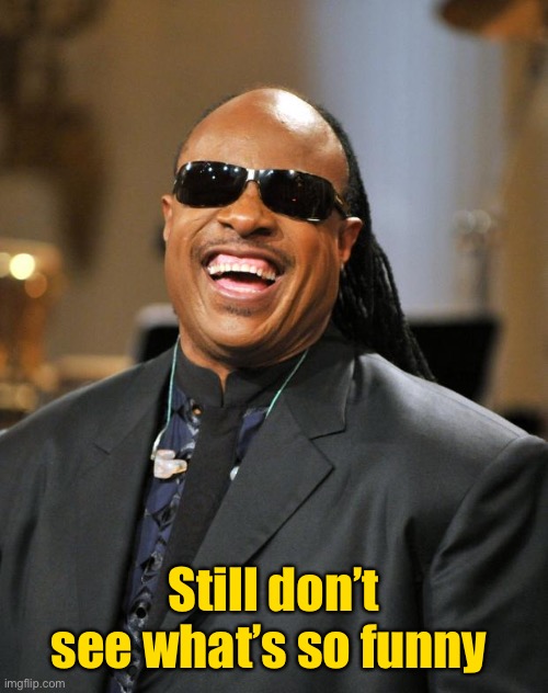 Stevie Wonder | Still don’t see what’s so funny | image tagged in stevie wonder | made w/ Imgflip meme maker