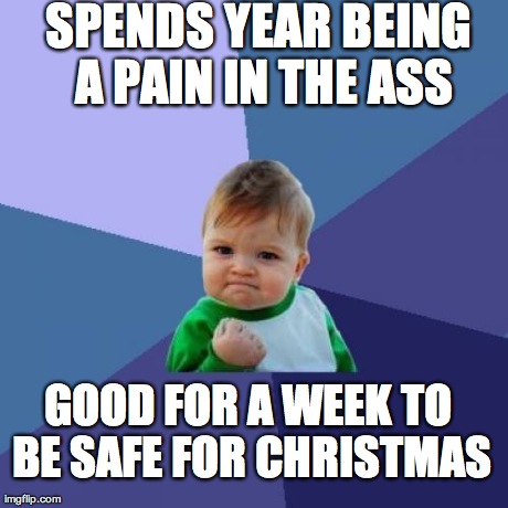 Success Kid Meme | SPENDS YEAR BEING A PAIN IN THE ASS GOOD FOR A WEEK TO BE SAFE FOR CHRISTMAS | image tagged in memes,success kid | made w/ Imgflip meme maker