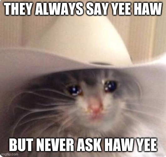 Sad cowboy cat | THEY ALWAYS SAY YEE HAW; BUT NEVER ASK HAW YEE | image tagged in sad cowboy cat | made w/ Imgflip meme maker
