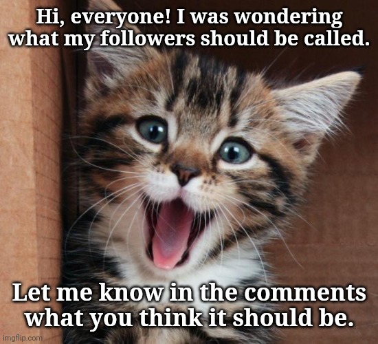 Happy cat | Hi, everyone! I was wondering what my followers should be called. Let me know in the comments what you think it should be. | image tagged in happy cat | made w/ Imgflip meme maker