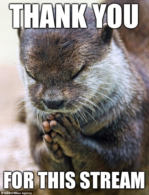 Thanking bot556 for the amazing concept of Politics_Redux. | THANK YOU; FOR THIS STREAM | image tagged in thank you lord otter,politics,meme stream,streams,stream,respect | made w/ Imgflip meme maker