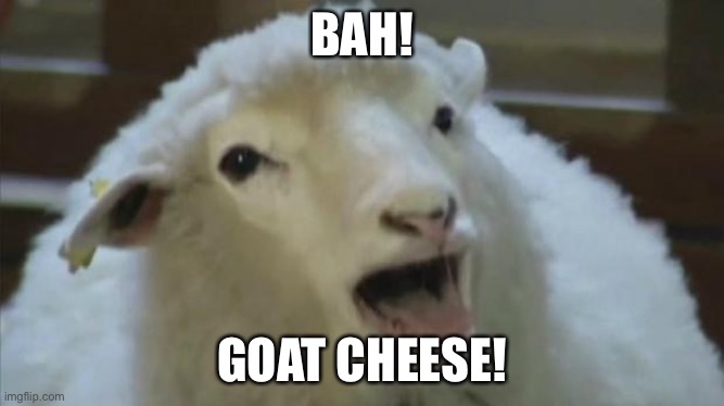 derp sheep | BAH! GOAT CHEESE! | image tagged in derp sheep,memes,funny animals | made w/ Imgflip meme maker
