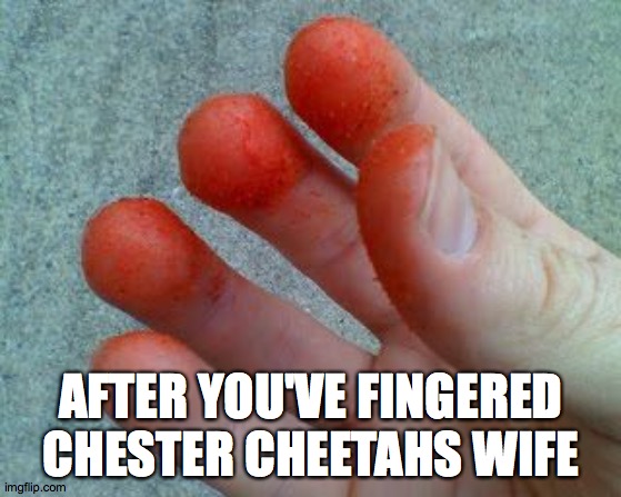 Hot Cheetos cheater  | AFTER YOU'VE FINGERED CHESTER CHEETAHS WIFE | image tagged in hot cheetos cheater | made w/ Imgflip meme maker