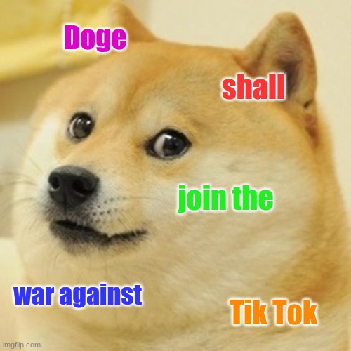 War against Tik-Tok | Doge; shall; join the; war against; Tik Tok | image tagged in antitiktok,doge,hates,tik tok,as,it sucks | made w/ Imgflip meme maker