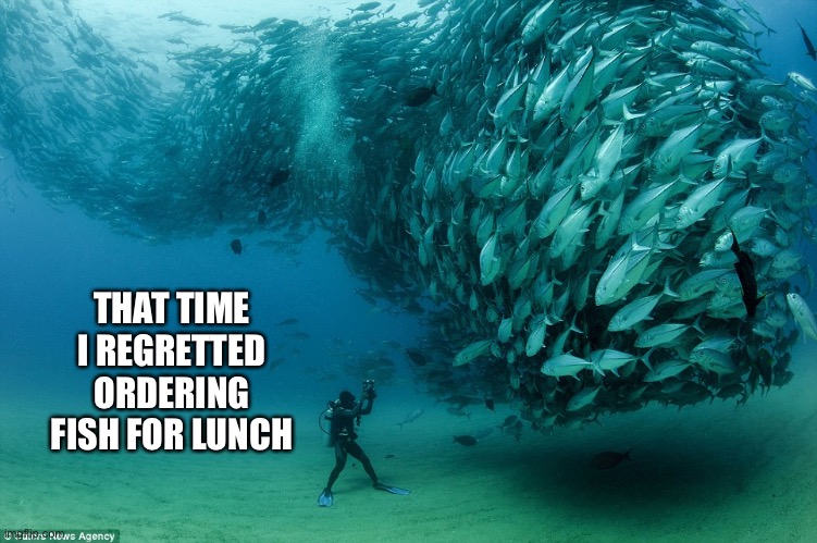 Who ordered the fish? | THAT TIME I REGRETTED ORDERING FISH FOR LUNCH | image tagged in fish,diver,regret,public,judgement,notoriety | made w/ Imgflip meme maker