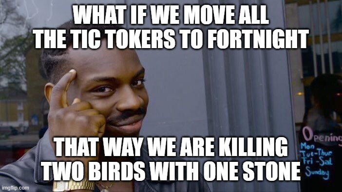 Roll Safe Think About It Meme | WHAT IF WE MOVE ALL THE TIC TOKERS TO FORTNIGHT THAT WAY WE ARE KILLING TWO BIRDS WITH ONE STONE | image tagged in memes,roll safe think about it | made w/ Imgflip meme maker