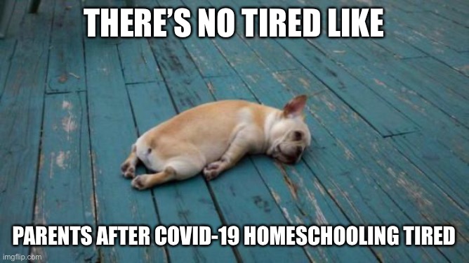 tired dog | THERE’S NO TIRED LIKE; PARENTS AFTER COVID-19 HOMESCHOOLING TIRED | image tagged in tired dog | made w/ Imgflip meme maker