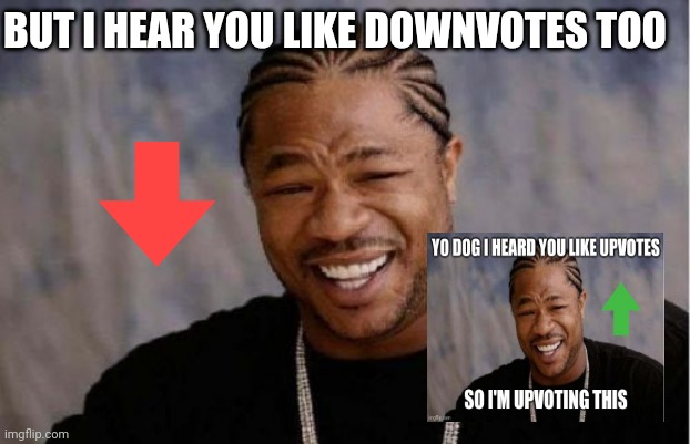There's No Right Way | BUT I HEAR YOU LIKE DOWNVOTES TOO | image tagged in memes,yo dawg heard you | made w/ Imgflip meme maker