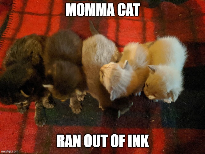 Momma cat ran out of Ink | MOMMA CAT; RAN OUT OF INK | image tagged in cats,kittens,cute cat,cute,funny memes | made w/ Imgflip meme maker