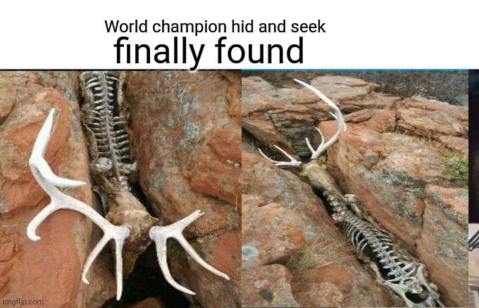 World champion hid and seek | World champion hid and seek; finally found | image tagged in memes,funny memes | made w/ Imgflip meme maker