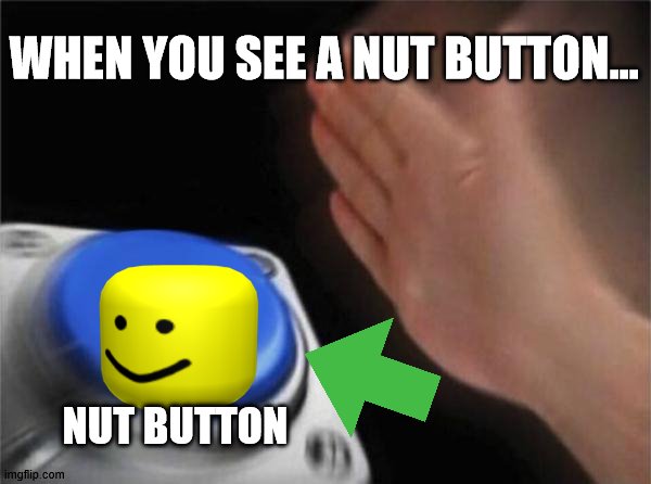 Blank Nut Button | WHEN YOU SEE A NUT BUTTON... NUT BUTTON | image tagged in memes,blank nut button | made w/ Imgflip meme maker