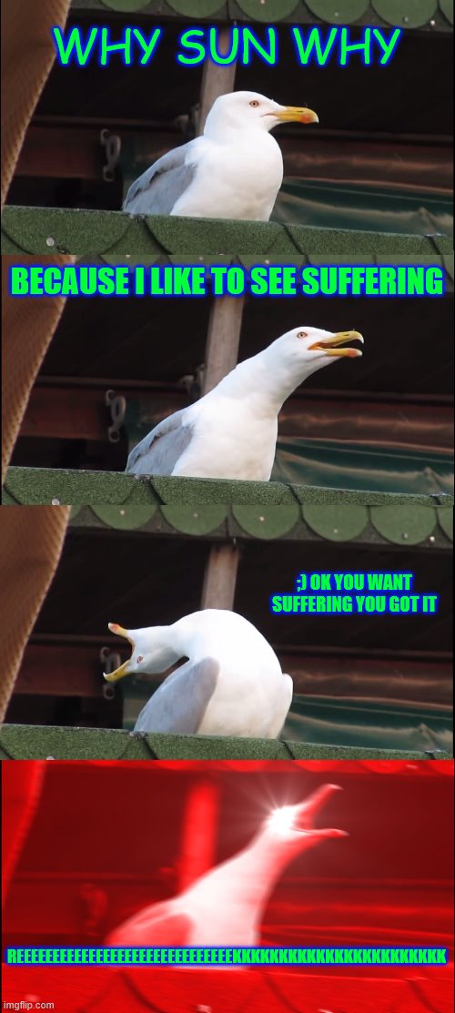 reeeeeeeeeeeeeeeekkkkkkkkk seagull | WHY SUN WHY; BECAUSE I LIKE TO SEE SUFFERING; ;) OK YOU WANT SUFFERING YOU GOT IT; REEEEEEEEEEEEEEEEEEEEEEEEEEEEEEKKKKKKKKKKKKKKKKKKKKKKK | image tagged in memes,inhaling seagull | made w/ Imgflip meme maker