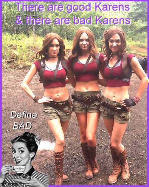 Karens | image tagged in karen,lol,funny,babes,karen gillan,omg karen | made w/ Imgflip meme maker