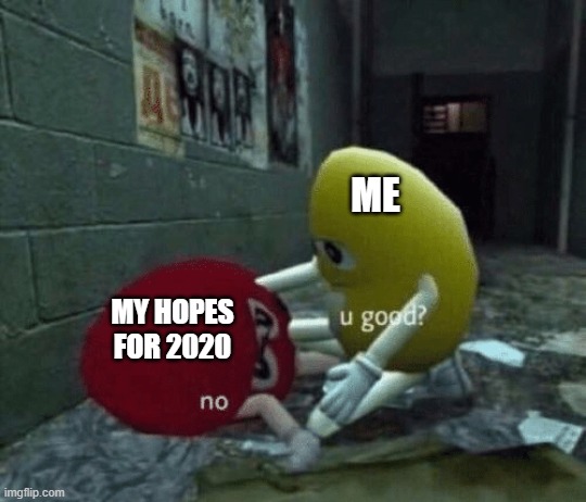 You good? | ME; MY HOPES FOR 2020 | image tagged in you good,2020,covid-19,hopeless | made w/ Imgflip meme maker