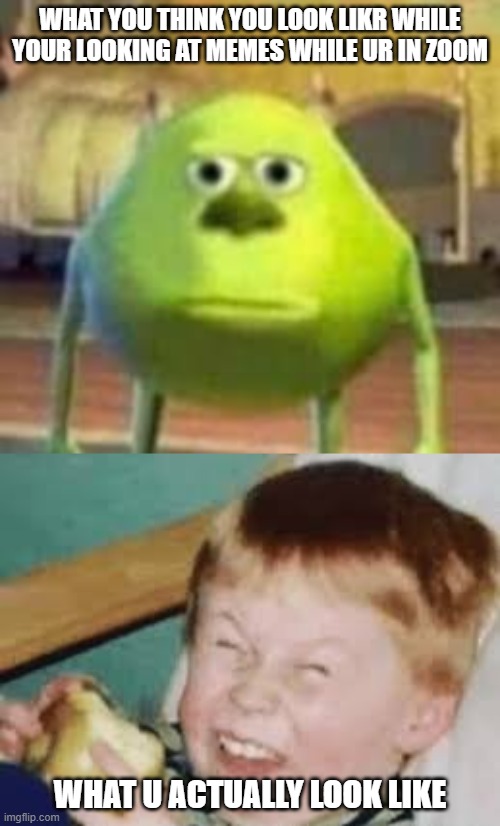 What u actually look like | WHAT YOU THINK YOU LOOK LIKR WHILE YOUR LOOKING AT MEMES WHILE UR IN ZOOM; WHAT U ACTUALLY LOOK LIKE | image tagged in zoom | made w/ Imgflip meme maker