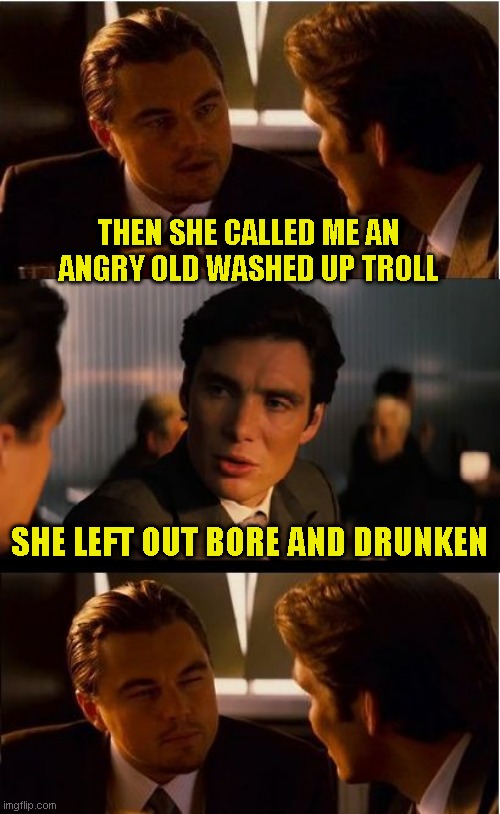 She sounds nice | THEN SHE CALLED ME AN ANGRY OLD WASHED UP TROLL; SHE LEFT OUT BORE AND DRUNKEN | image tagged in memes,inception,just a joke | made w/ Imgflip meme maker