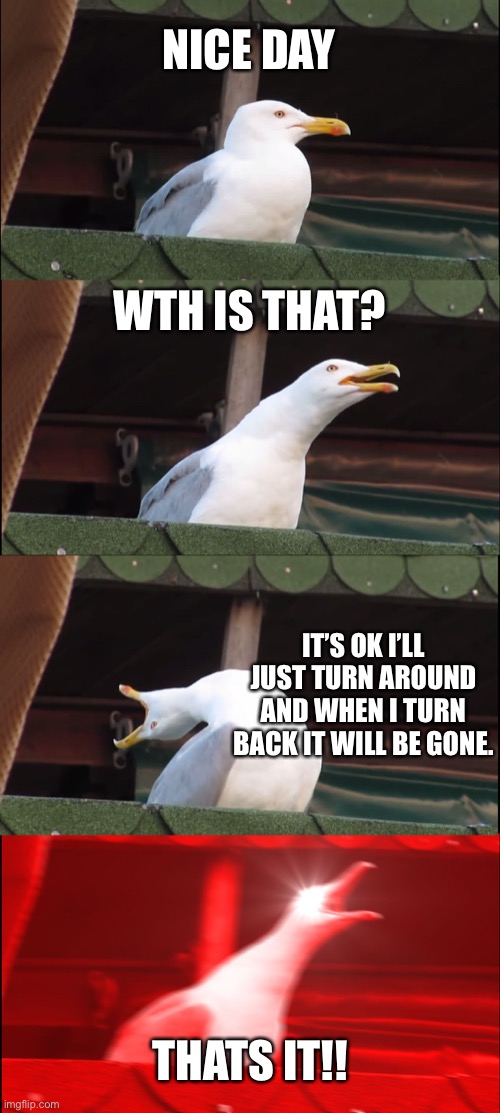 Inhaling Seagull Meme | NICE DAY; WTH IS THAT? IT’S OK I’LL JUST TURN AROUND AND WHEN I TURN BACK IT WILL BE GONE. THATS IT!! | image tagged in memes,inhaling seagull | made w/ Imgflip meme maker