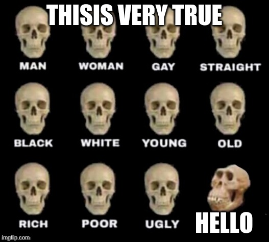 boi | THISIS VERY TRUE; HELLO | image tagged in idiot skull | made w/ Imgflip meme maker