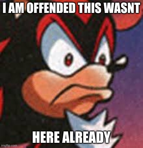 shadow offended | I AM OFFENDED THIS WASNT HERE ALREADY | image tagged in shadow offended | made w/ Imgflip meme maker