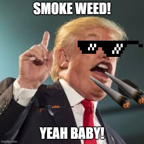 BRUH SMOKE WEED! | SMOKE WEED! YEAH BABY! | image tagged in smoke weed everyday | made w/ Imgflip meme maker