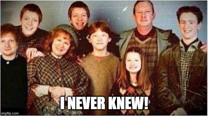 Well, the Voice is Magical | I NEVER KNEW! | image tagged in funny image,harry potter | made w/ Imgflip meme maker