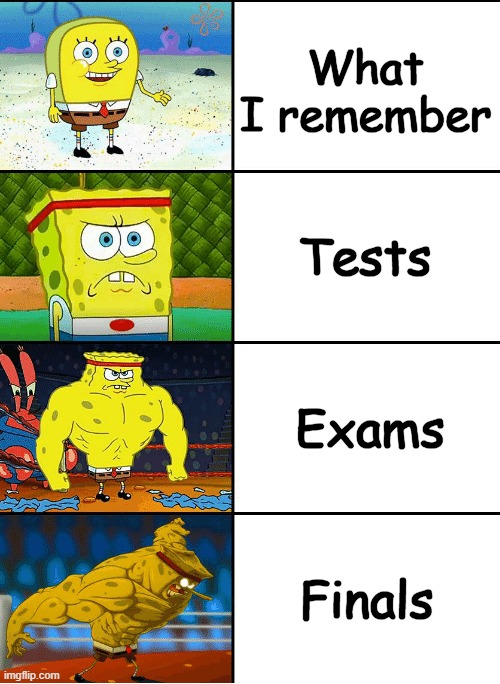 stronk | What I remember; Tests; Exams; Finals | image tagged in stronk | made w/ Imgflip meme maker