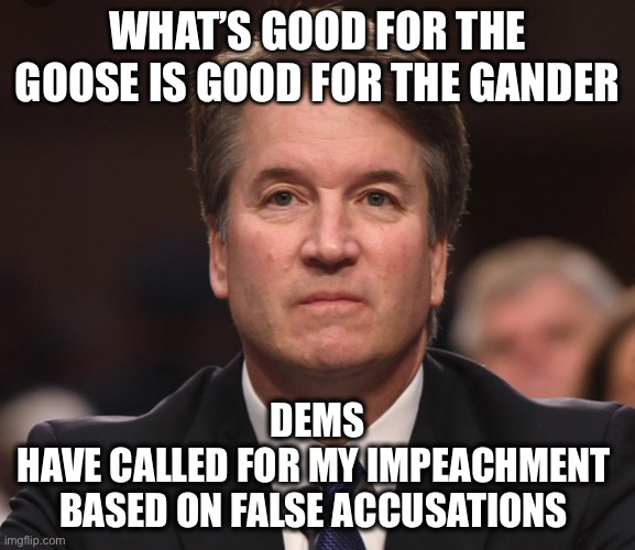 Brett Kavanaugh  | WHAT’S GOOD FOR THE GOOSE IS GOOD FOR THE GANDER DEMS
HAVE CALLED FOR MY IMPEACHMENT 
BASED ON FALSE ACCUSATIONS | image tagged in brett kavanaugh | made w/ Imgflip meme maker