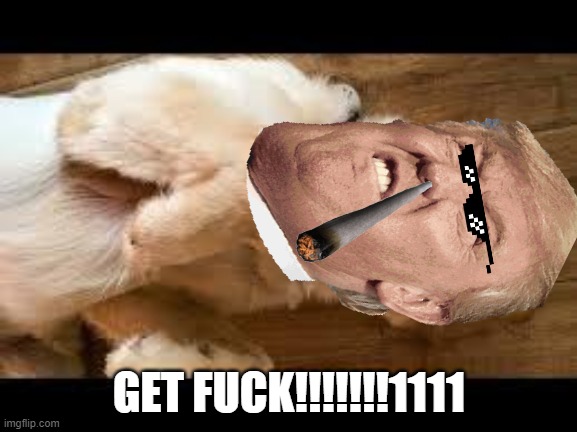 GET FUCK!!!!!!!1111 | image tagged in donald trump | made w/ Imgflip meme maker