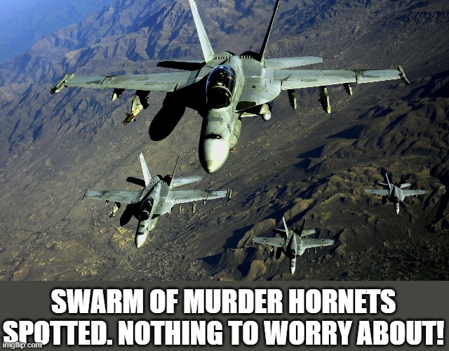 murder hornet | SWARM OF MURDER HORNETS SPOTTED. NOTHING TO WORRY ABOUT! | image tagged in murder hornets | made w/ Imgflip meme maker