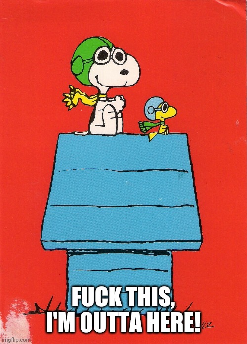 Snoopy Red Baron | FUCK THIS, I'M OUTTA HERE! | image tagged in snoopy red baron | made w/ Imgflip meme maker