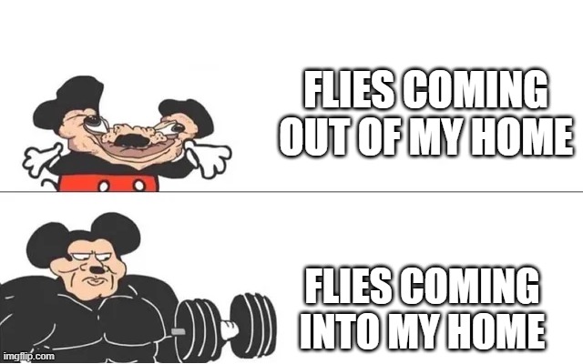 mickey mouse drake | FLIES COMING OUT OF MY HOME; FLIES COMING INTO MY HOME | image tagged in mickey mouse drake | made w/ Imgflip meme maker