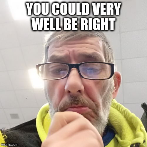 Pondering Bert | YOU COULD VERY WELL BE RIGHT | image tagged in pondering bert | made w/ Imgflip meme maker