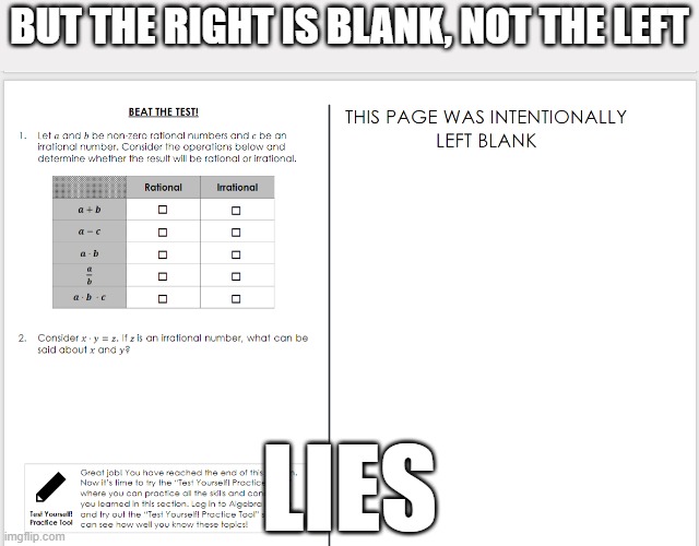 Got this in my math assignment | BUT THE RIGHT IS BLANK, NOT THE LEFT; LIES | image tagged in math | made w/ Imgflip meme maker