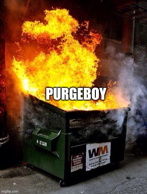 Dumpster Fire | PURGEBOY | image tagged in dumpster fire | made w/ Imgflip meme maker
