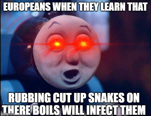 r/historymemes | EUROPEANS WHEN THEY LEARN THAT; RUBBING CUT UP SNAKES ON THERE BOILS WILL INFECT THEM | image tagged in historical meme,funny,thomas the tank engine,thomas o face,oh shit thomas,dank | made w/ Imgflip meme maker