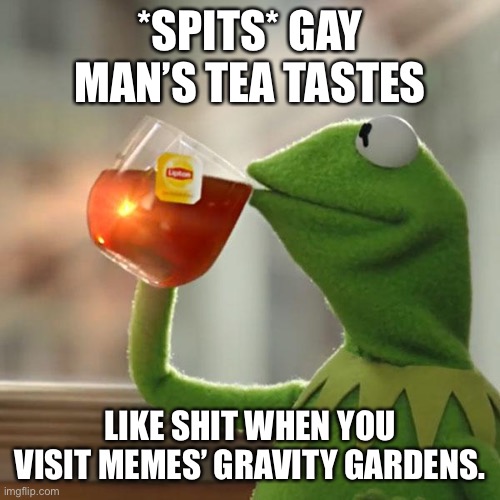 But That's None Of My Business Meme | *SPITS* GAY MAN’S TEA TASTES; LIKE SHIT WHEN YOU VISIT MEMES’ GRAVITY GARDENS. | image tagged in memes,but that's none of my business,kermit the frog | made w/ Imgflip meme maker