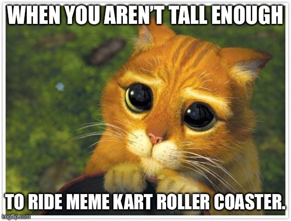 Shrek Cat Meme | WHEN YOU AREN’T TALL ENOUGH; TO RIDE MEME KART ROLLER COASTER. | image tagged in memes,shrek cat,theme park,roller coaster | made w/ Imgflip meme maker