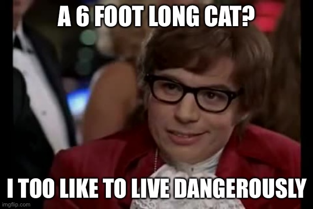 I Too Like To Live Dangerously Meme | A 6 FOOT LONG CAT? I TOO LIKE TO LIVE DANGEROUSLY | image tagged in memes,i too like to live dangerously | made w/ Imgflip meme maker
