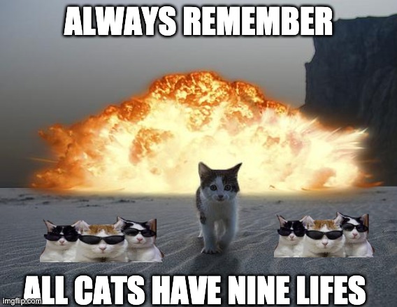 cat explosion | ALWAYS REMEMBER; ALL CATS HAVE NINE LIFES | image tagged in cat explosion | made w/ Imgflip meme maker