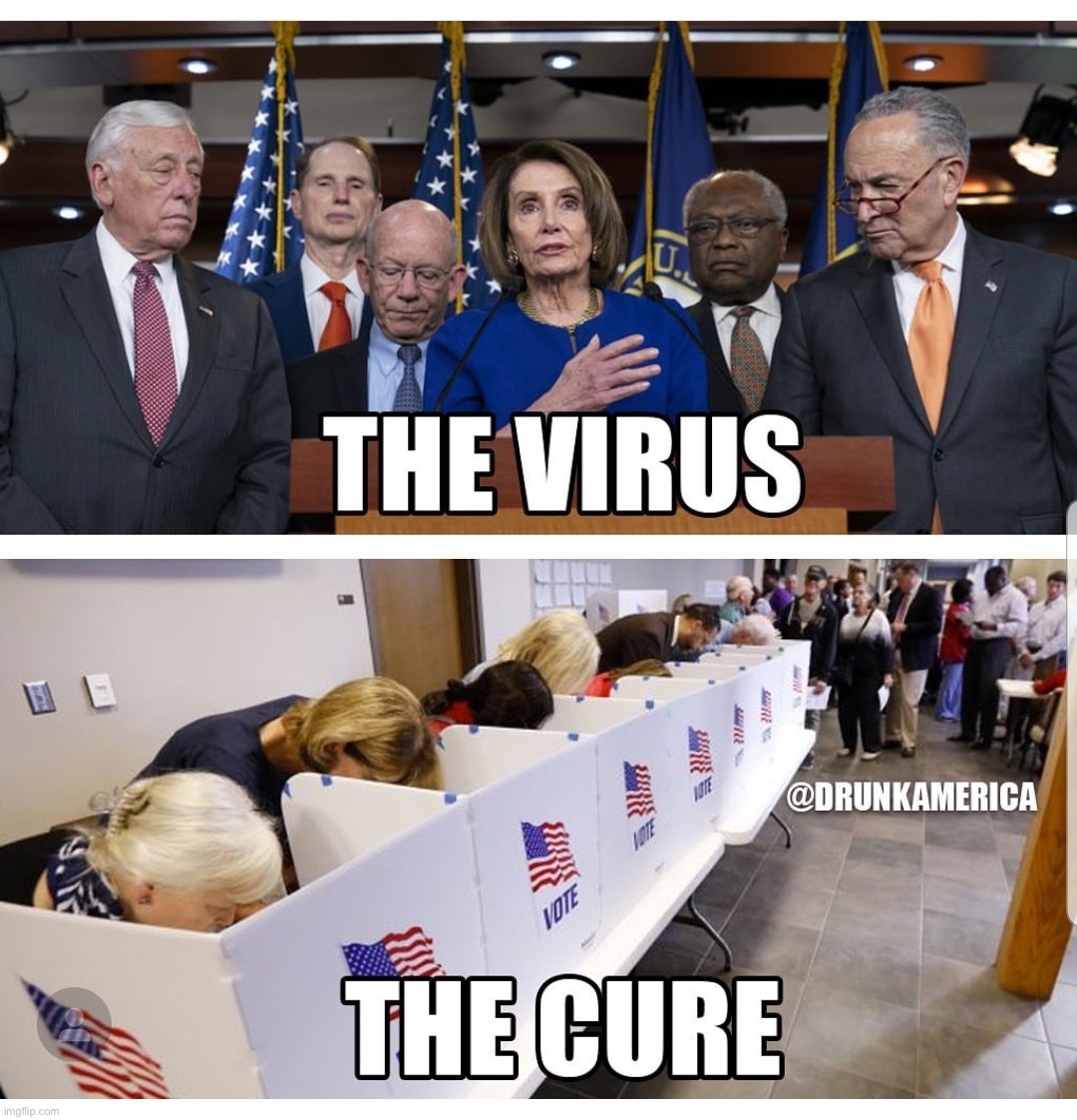 Vote out all the dems. | image tagged in maga,ConservativeMemes | made w/ Imgflip meme maker