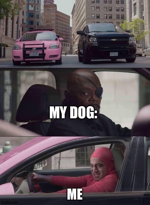 pink guy nick fury | MY DOG:; ME | image tagged in pink guy nick fury | made w/ Imgflip meme maker