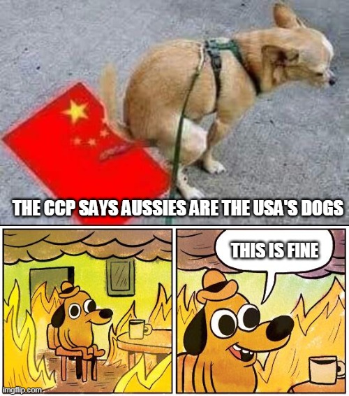 Aussie Dog | THE CCP SAYS AUSSIES ARE THE USA'S DOGS; THIS IS FINE | image tagged in this is fine blank | made w/ Imgflip meme maker