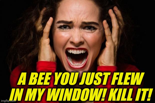 Screaming woman | A BEE YOU JUST FLEW IN MY WINDOW! KILL IT! | image tagged in screaming woman | made w/ Imgflip meme maker