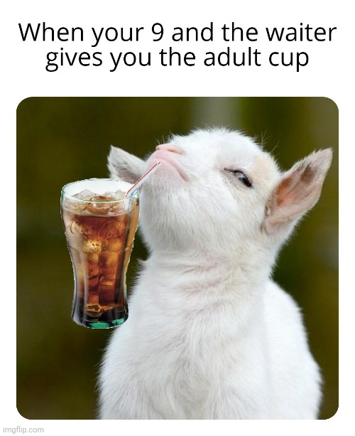image tagged in proud baby goat,gorgeous goatling,memes,dank memes,relatable,childhood | made w/ Imgflip meme maker